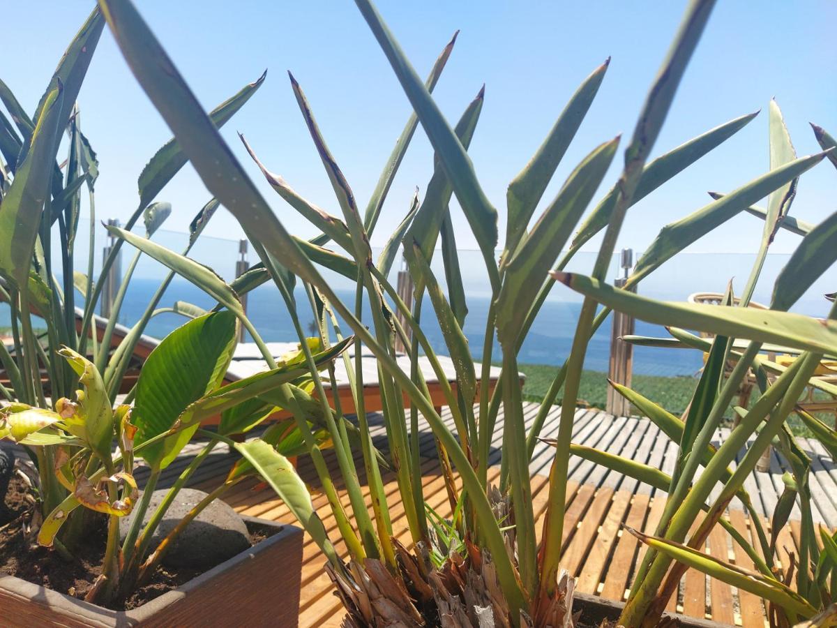 Penthouse La Palmita - Tazacorte, La Palma Экстерьер фото